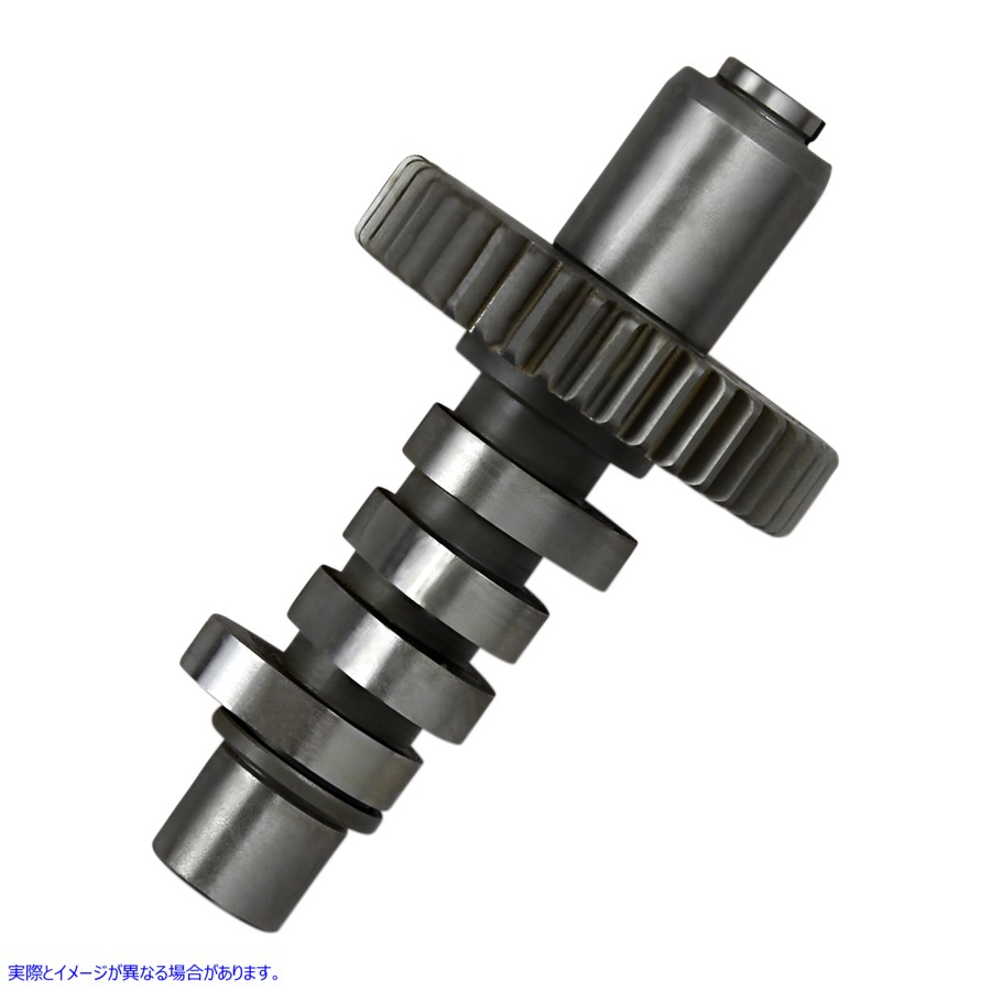 取寄せ グラインドカム アンドリュース Grind Cam 212430 DS199298