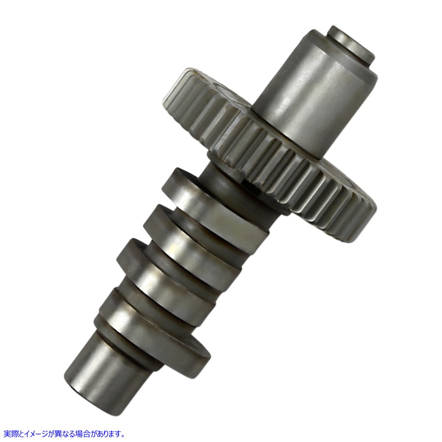 取寄せ EV5 グラインドカム - ビッグツイン アンドリュース EV5 Grind Cam - Big Twin 291150 DS199443