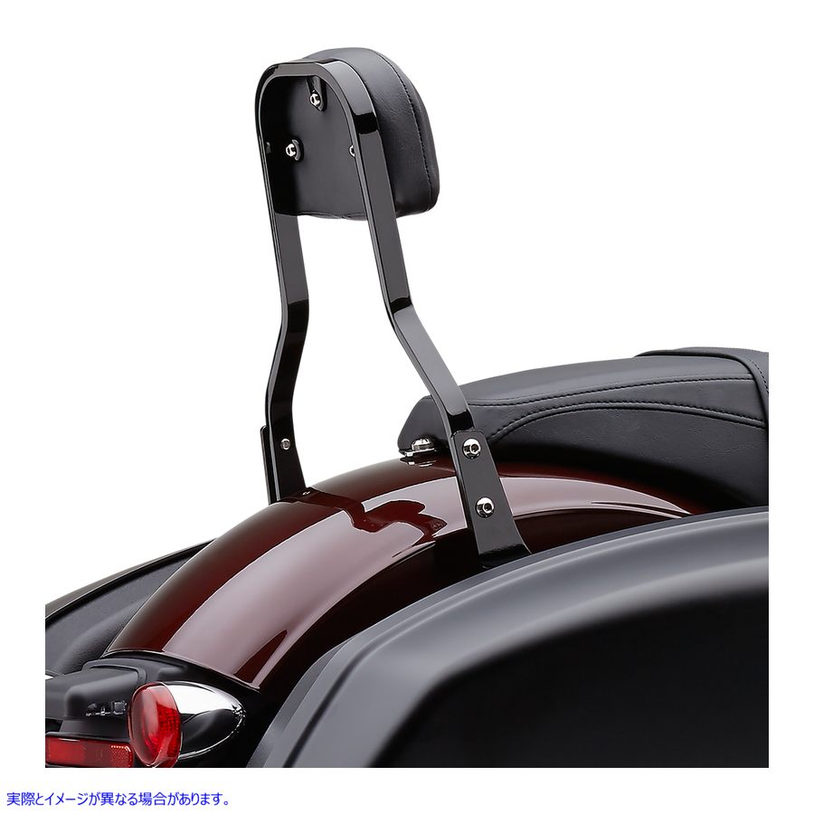 取寄せ 取り外し可能なバックレストキット コブラ Backrest Kit - 14 - Black - FLSB 602-2051B 15010622